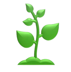 Left Plant