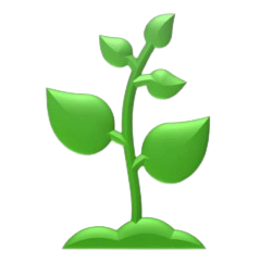 Right Plant